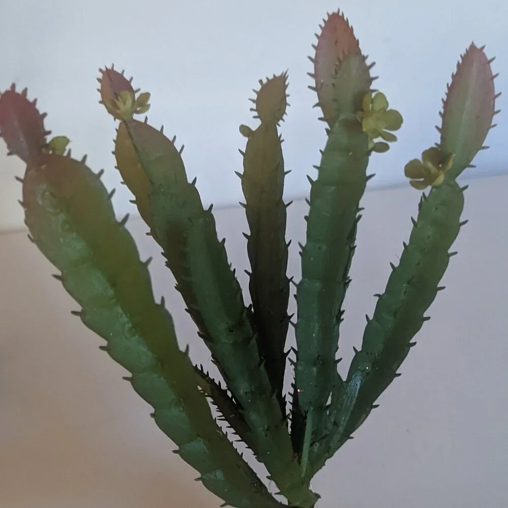 NWT Ashland 2 Spiky Mini Desert Cactus Flower Stems Faux Floral Decor Michaels